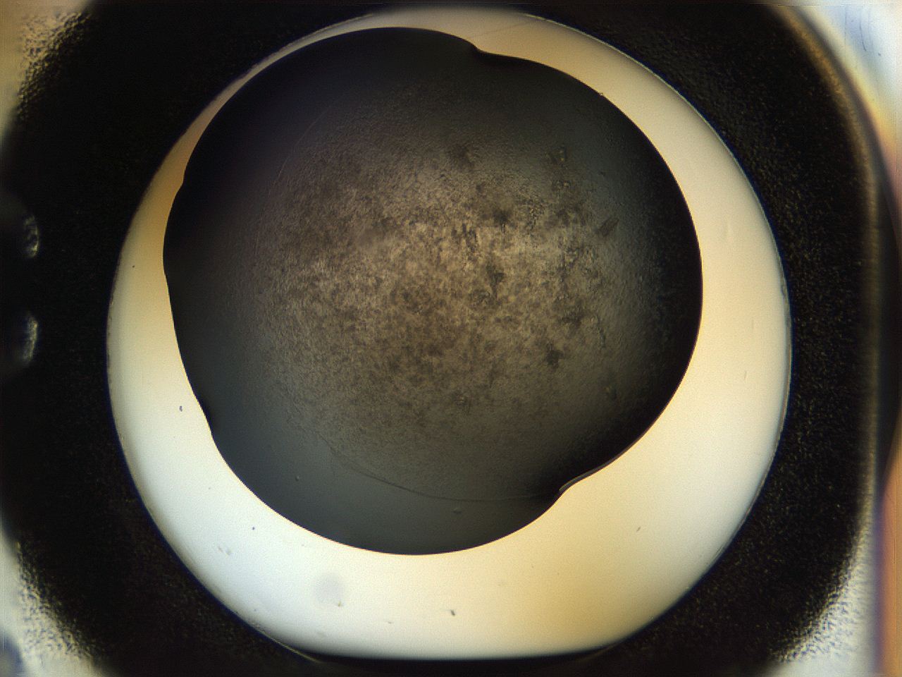 054l_C2_ImagerDefaults_8.jpg