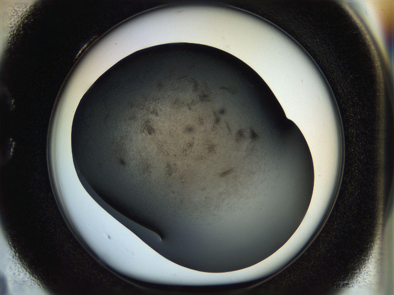 054l_C4_ImagerDefaults_8.jpg