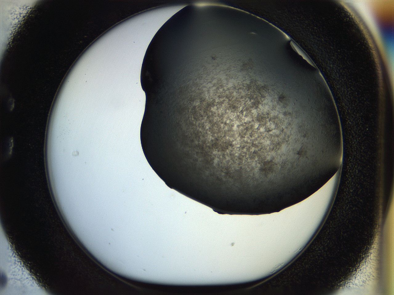 054l_C5_ImagerDefaults_7.jpg