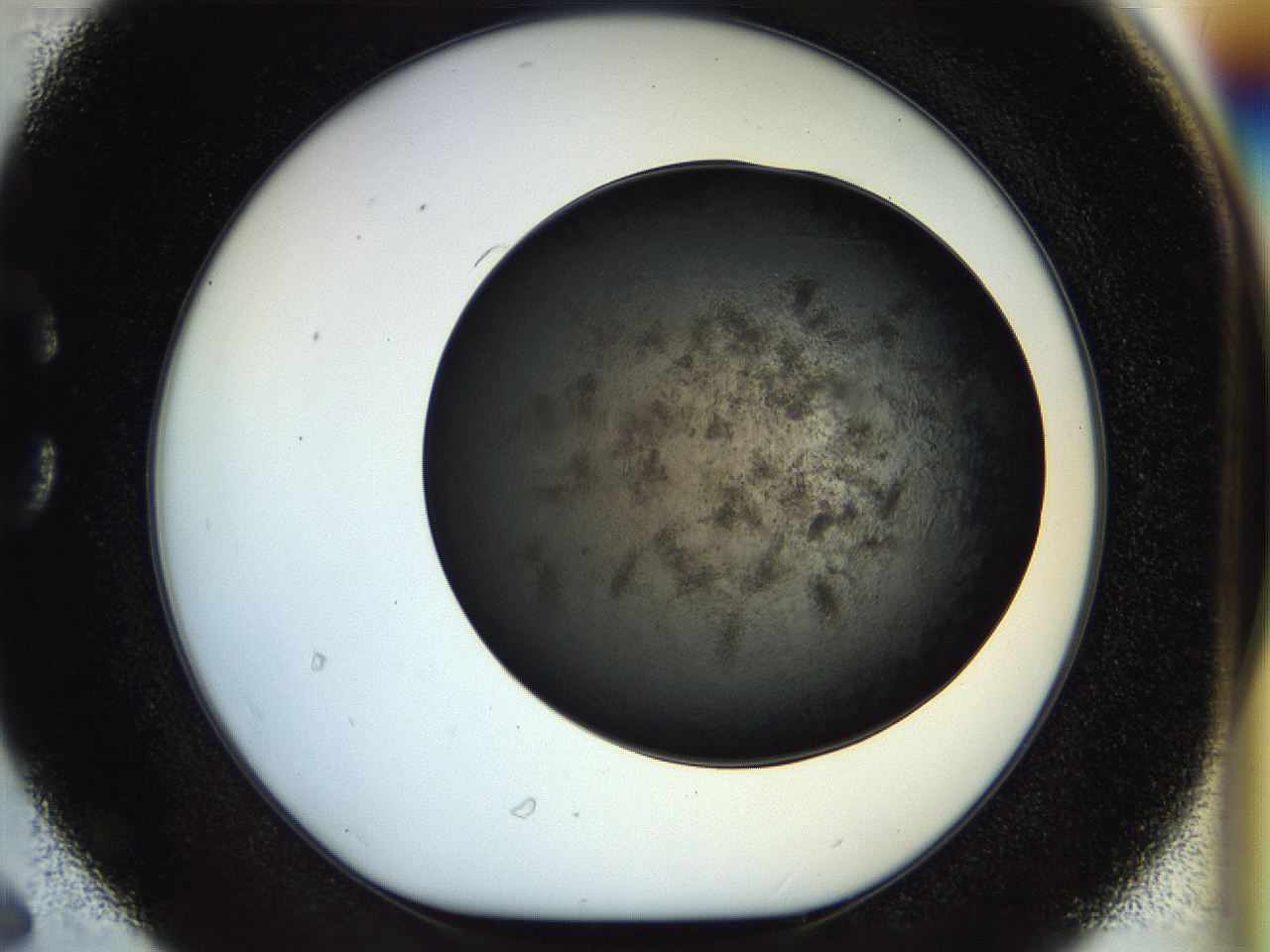 054l_C6_ImagerDefaults_7.jpg