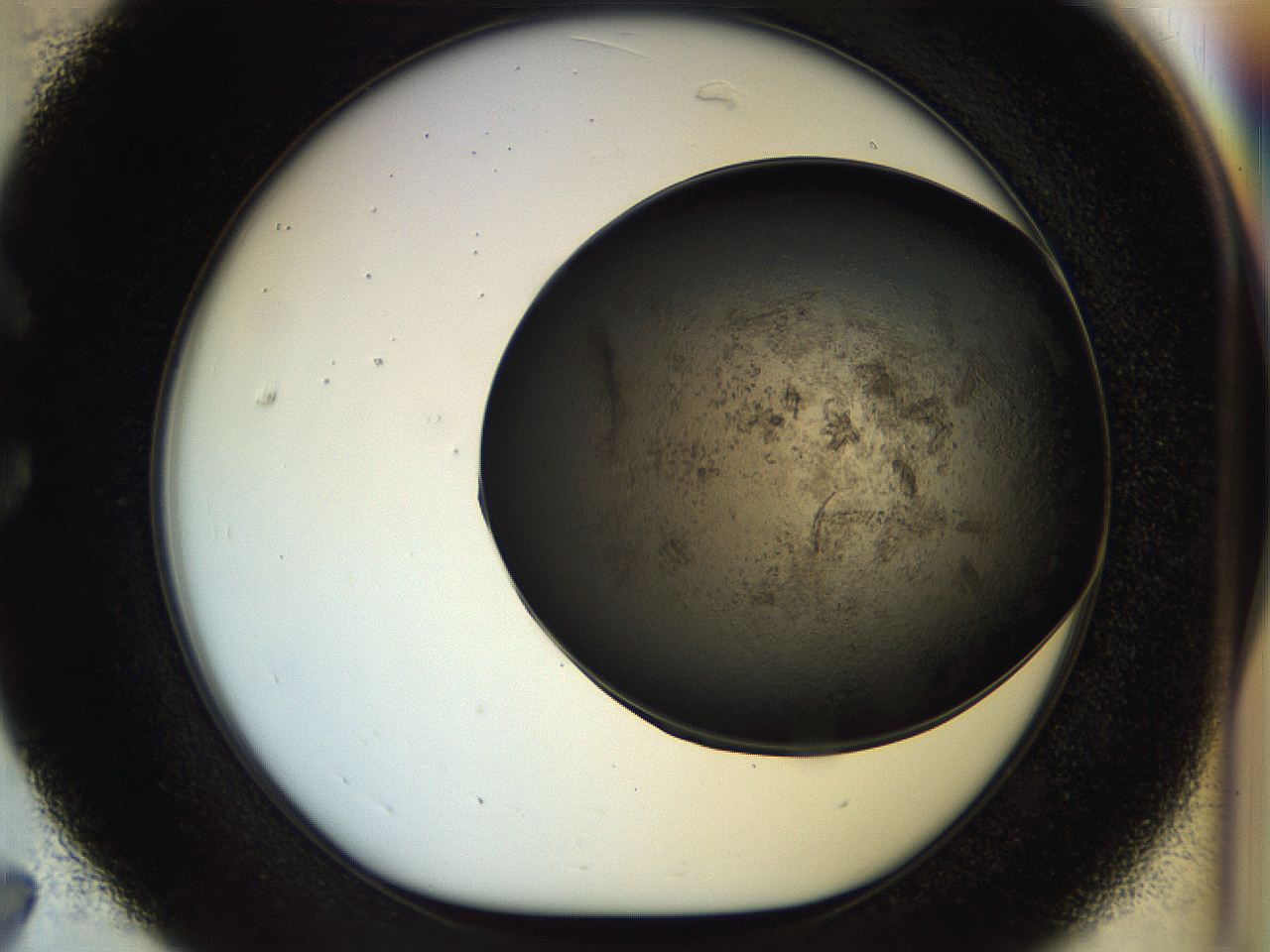 054l_C7_ImagerDefaults_7.jpg