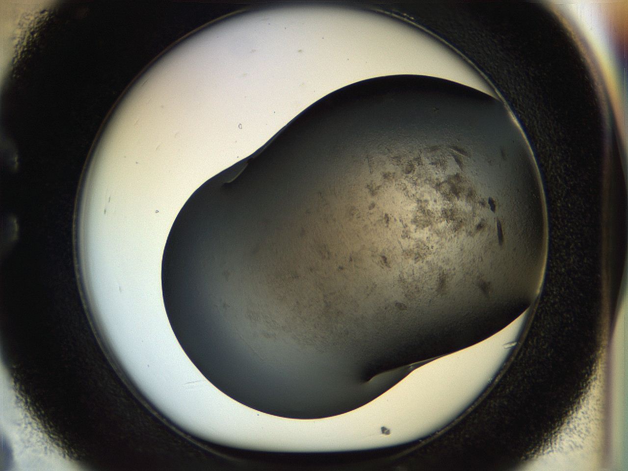 054l_C8_ImagerDefaults_7.jpg