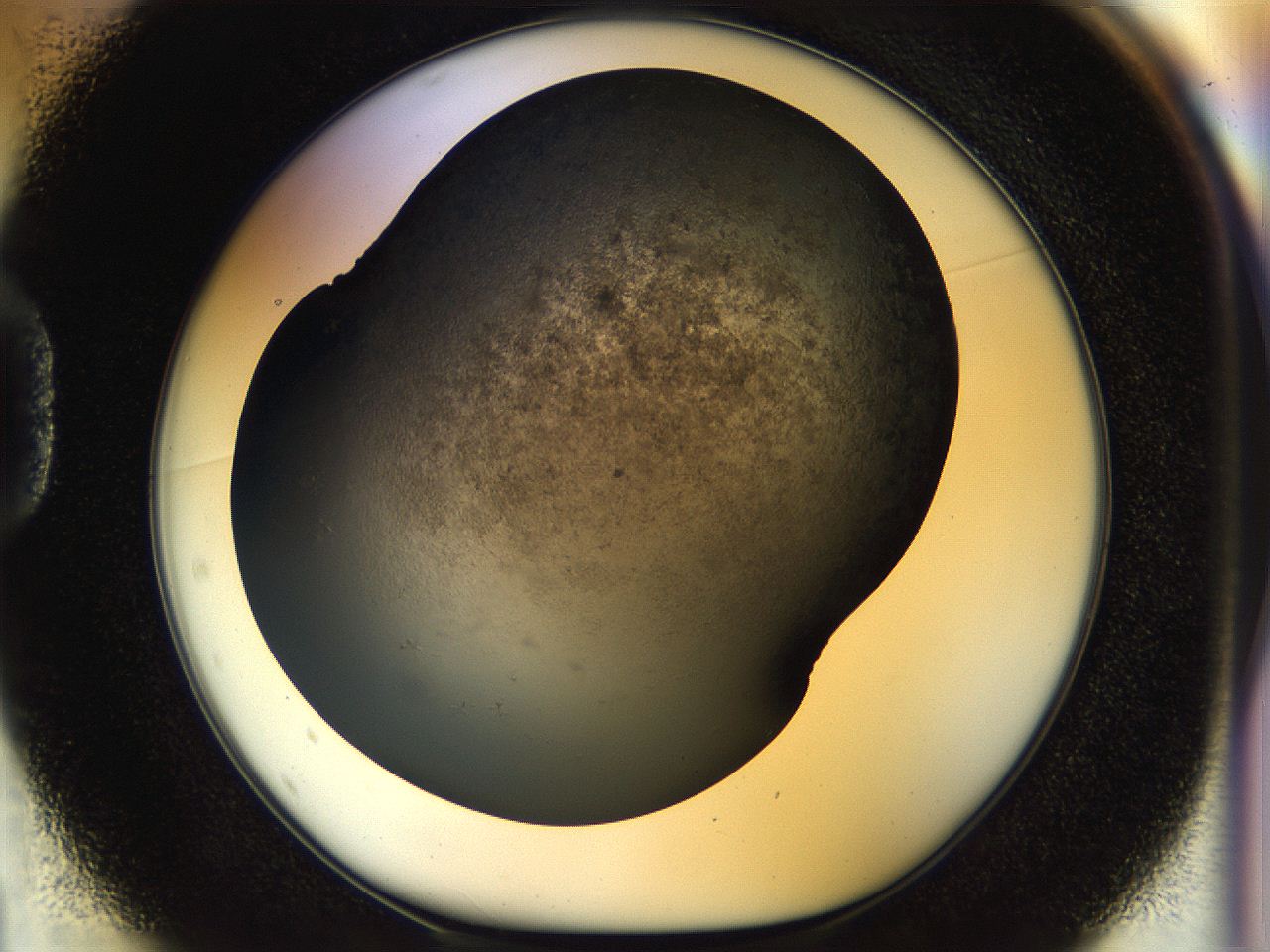 054l_D1_ImagerDefaults_6.jpg
