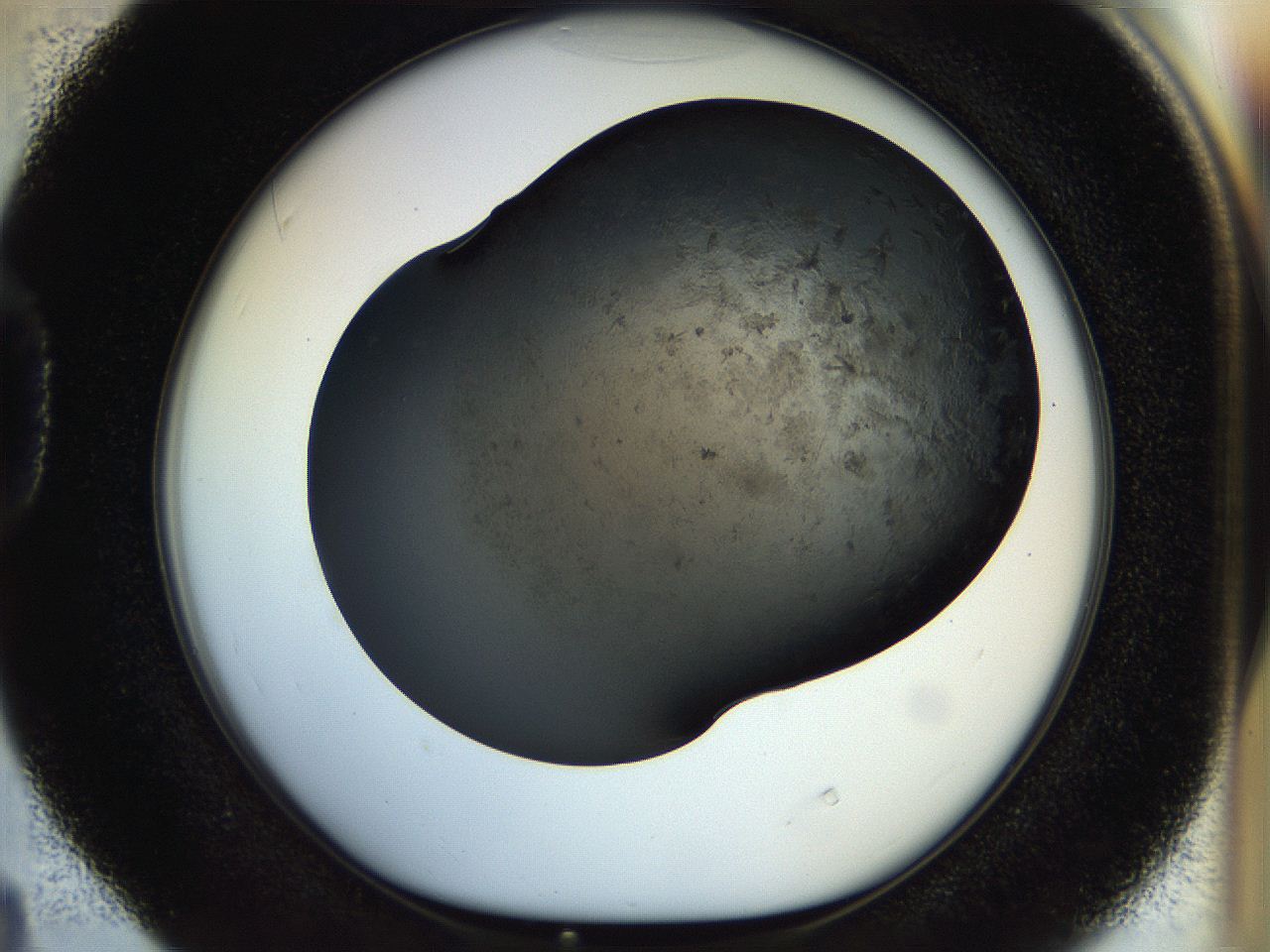 054l_D4_ImagerDefaults_6.jpg