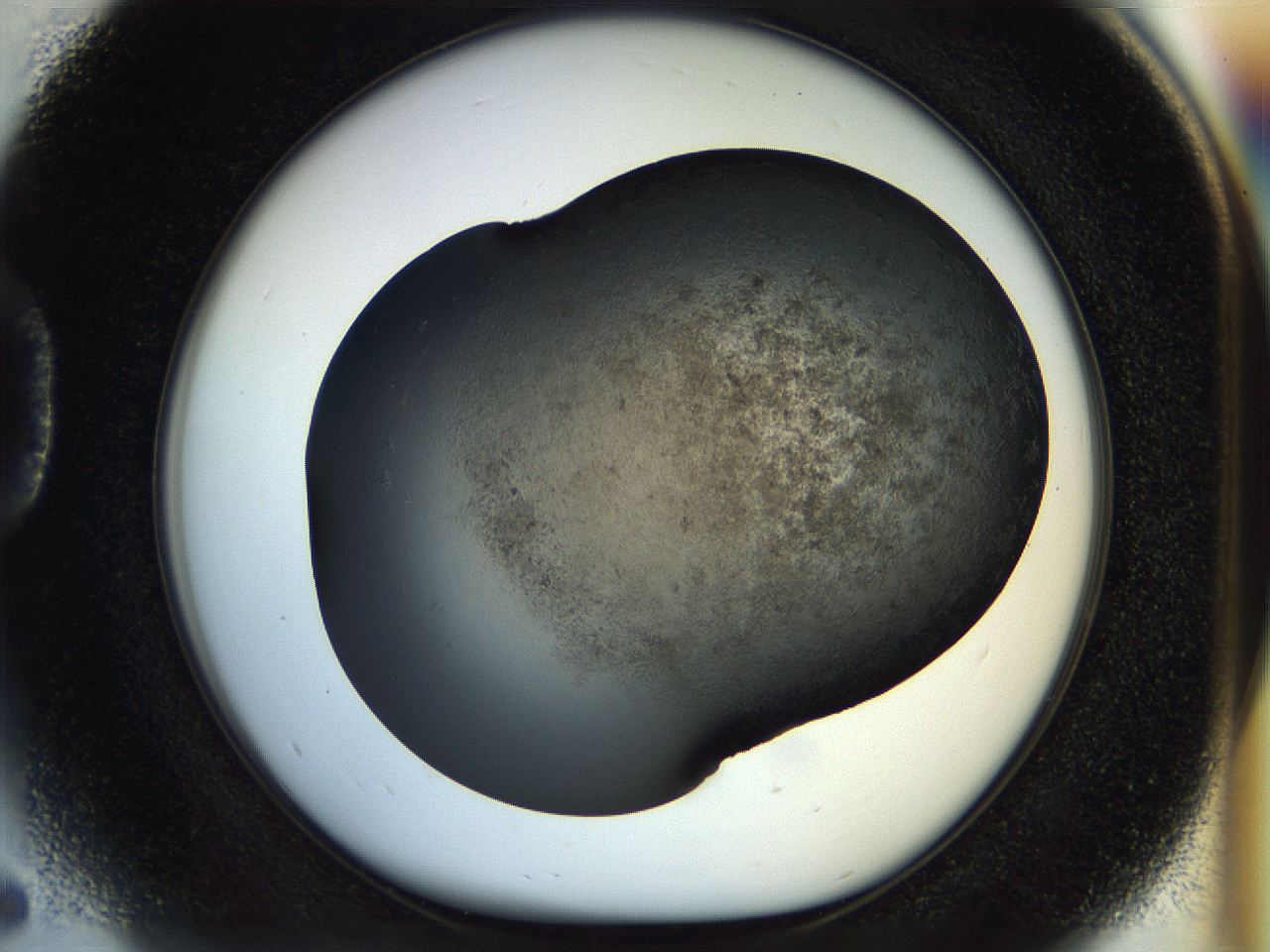 054l_D5_ImagerDefaults_6.jpg