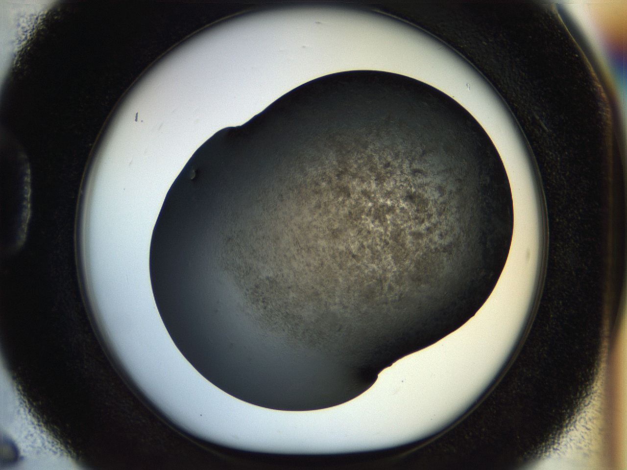 054l_D6_ImagerDefaults_6.jpg