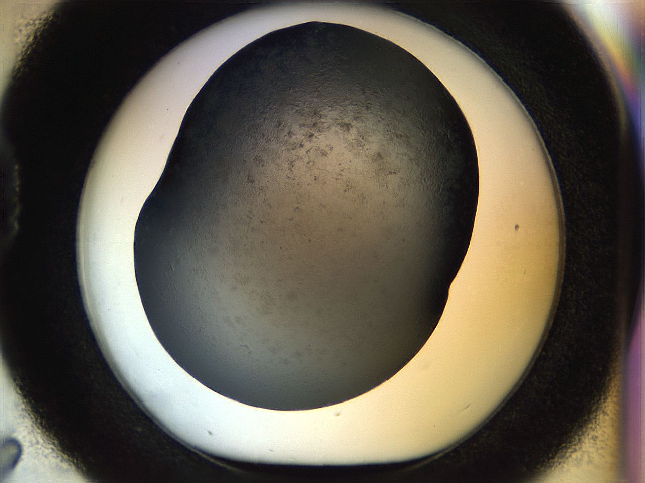054l_D7_ImagerDefaults_6.jpg