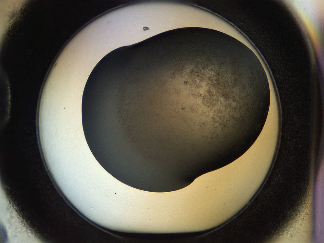 054l_D8_ImagerDefaults_6.jpg