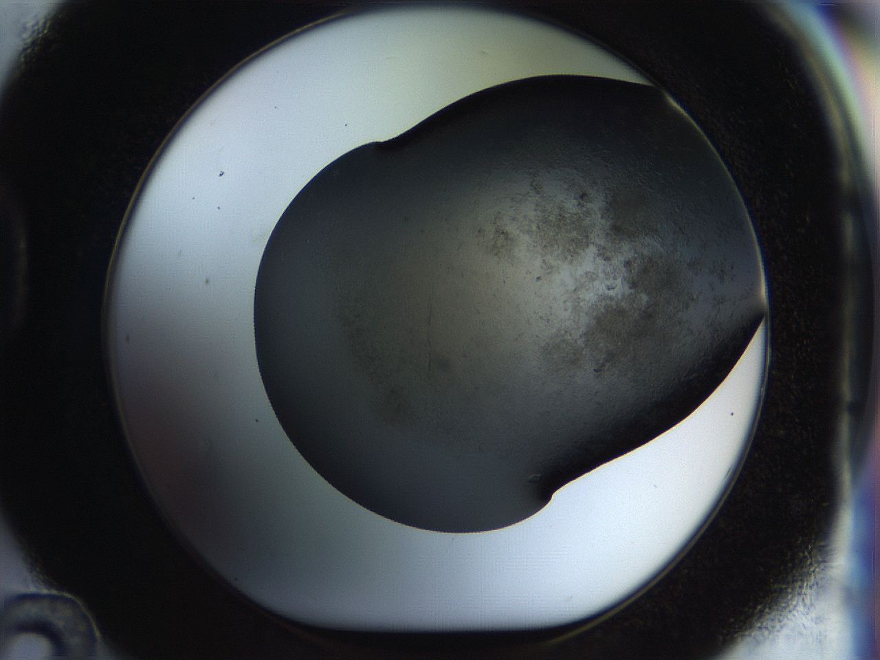 054l_D12_ImagerDefaults_6.jpg