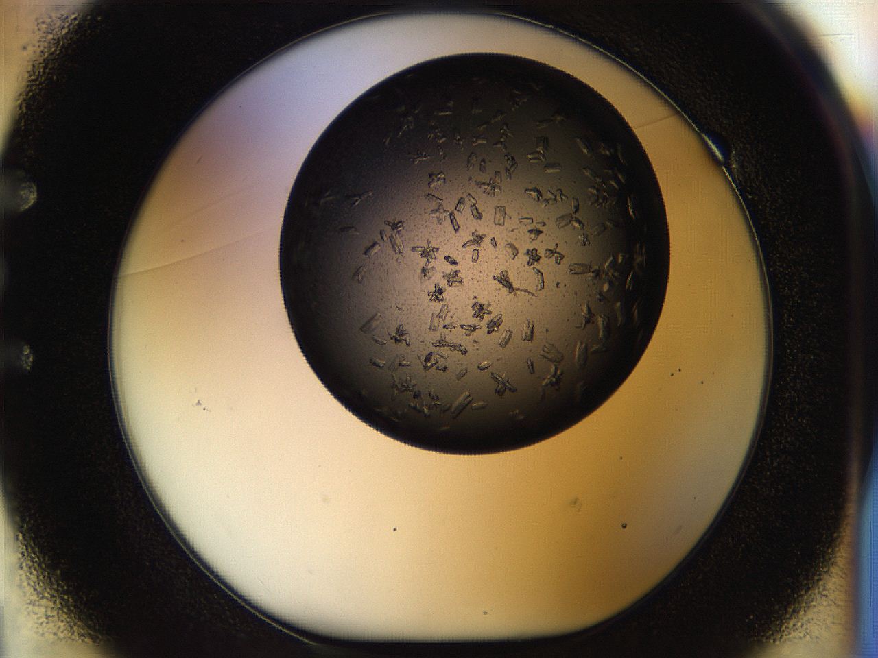 054l_E1_ImagerDefaults_8.jpg