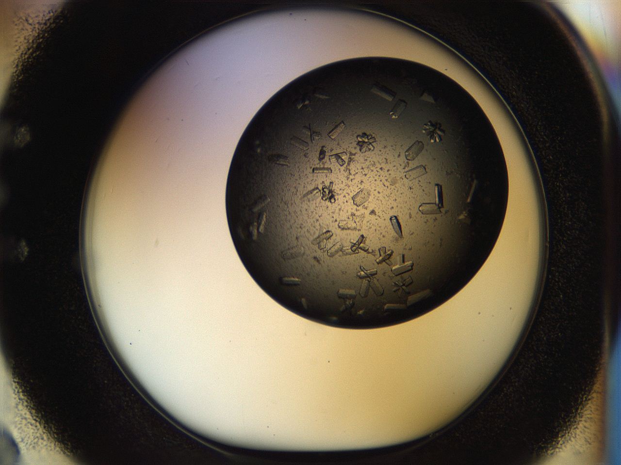 054l_E2_ImagerDefaults_9.jpg