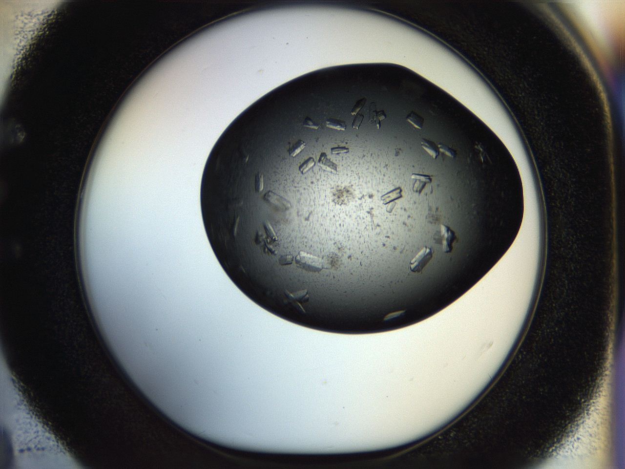 054l_E4_ImagerDefaults_9.jpg