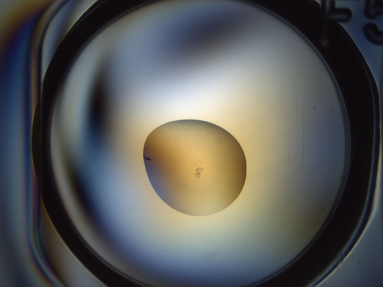 folderID166_plateID2166_batchID9471_wellNum35_profileID1_d1_r145737_ef.jpg