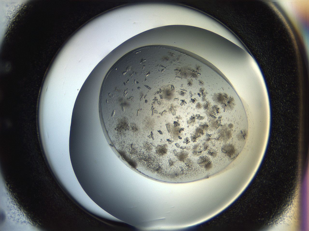 054l_E5_ImagerDefaults_8.jpg