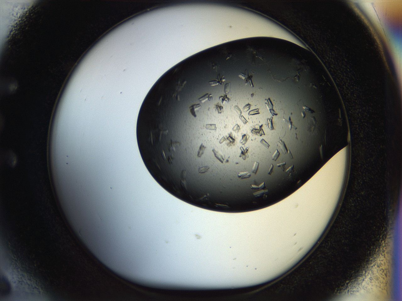054l_E6_ImagerDefaults_9.jpg