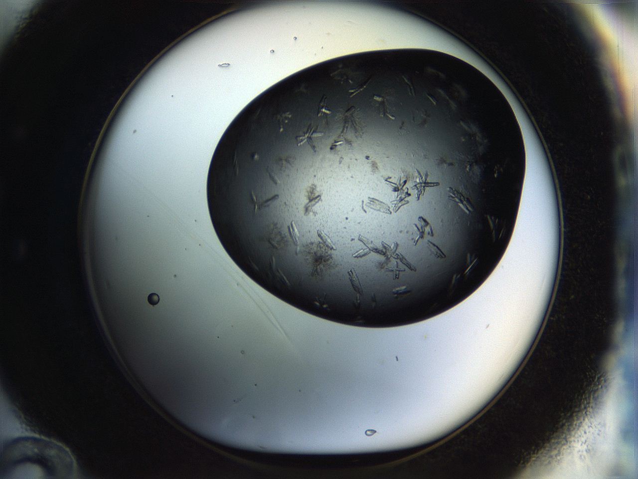 054l_E12_ImagerDefaults_8.jpg