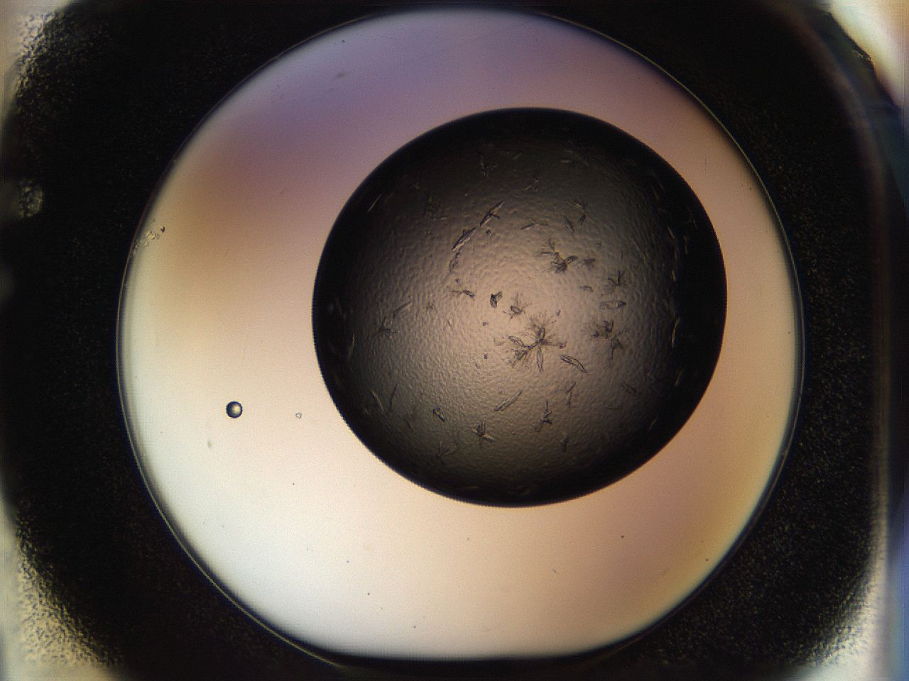 054l_F1_ImagerDefaults_7.jpg