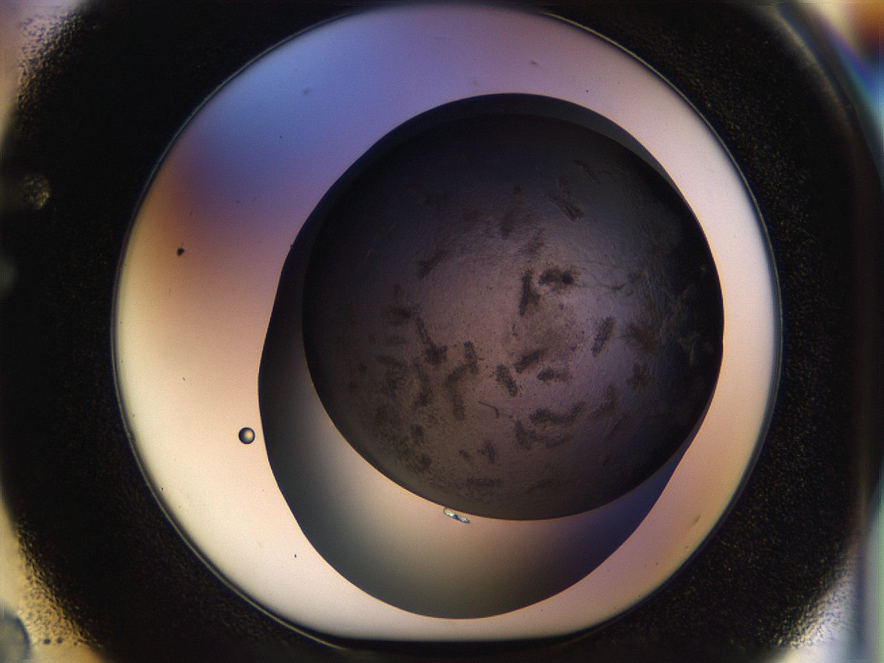 054l_F2_ImagerDefaults_7.jpg