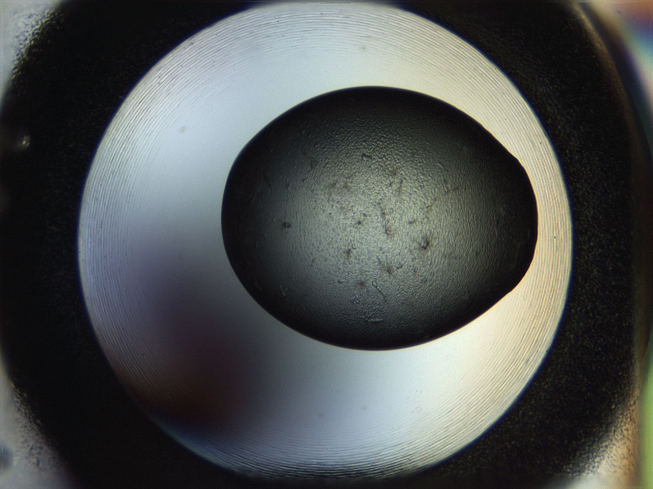 054l_F5_ImagerDefaults_7.jpg