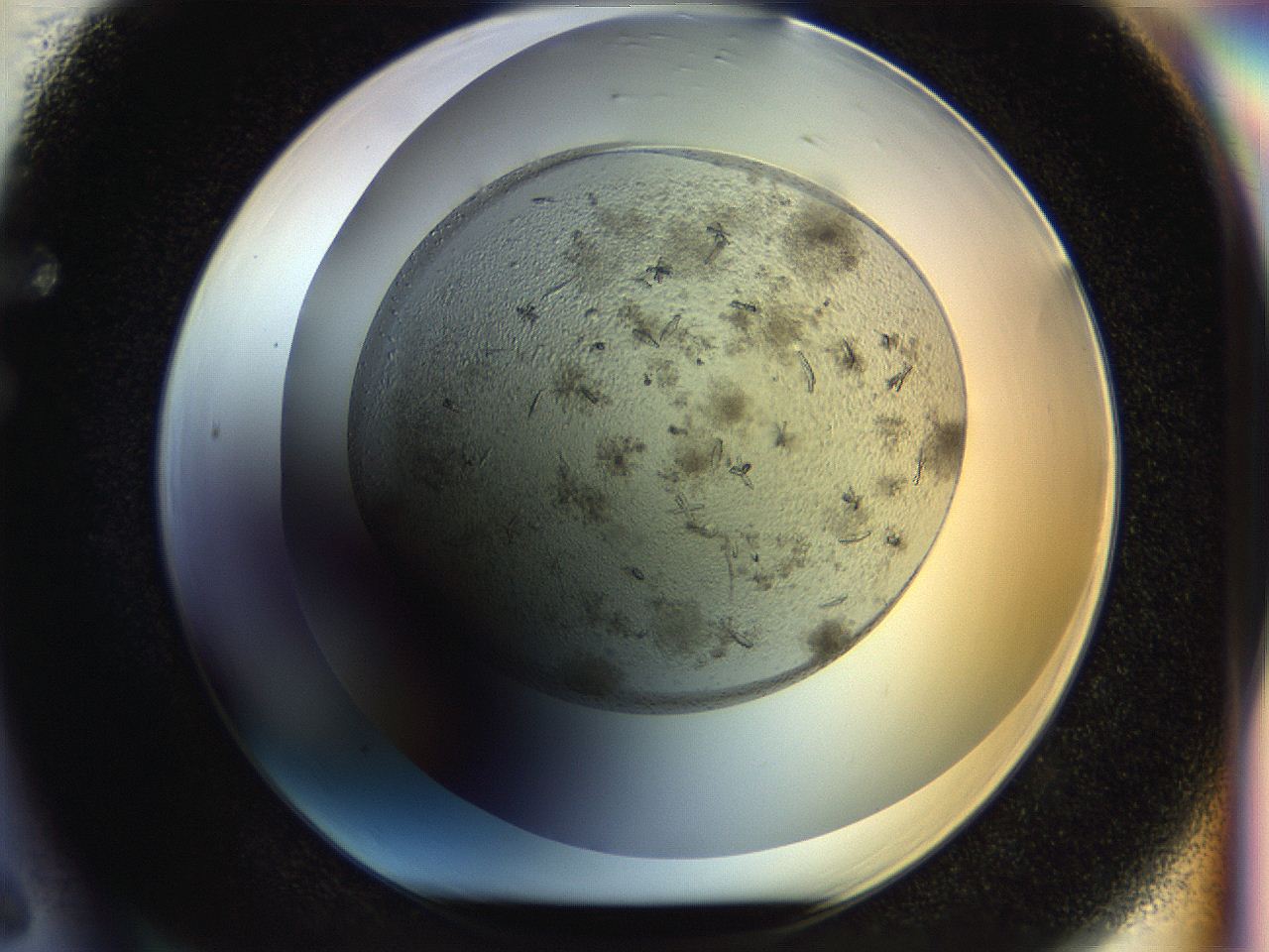 054l_F6_ImagerDefaults_7.jpg