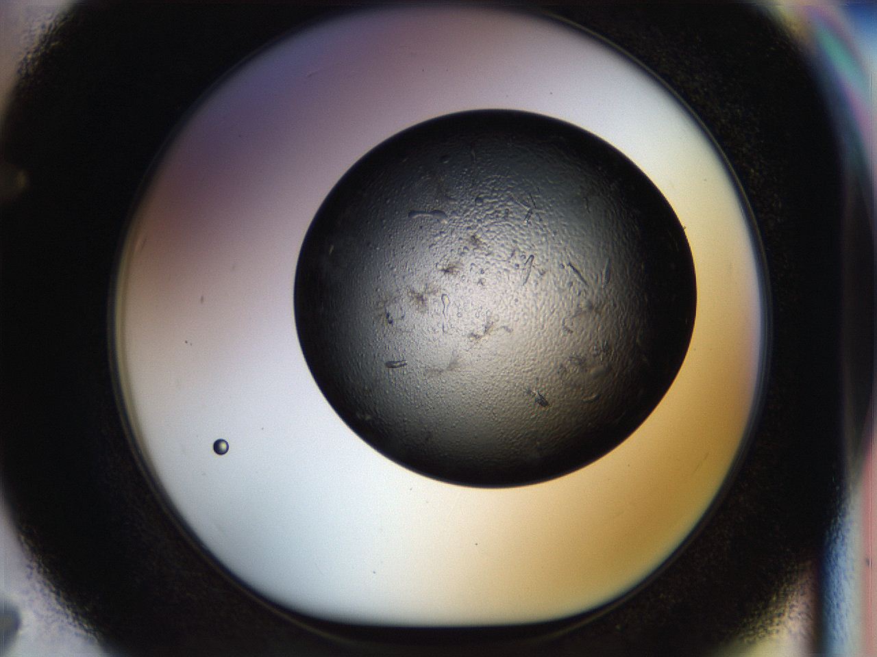 054l_F7_ImagerDefaults_7.jpg