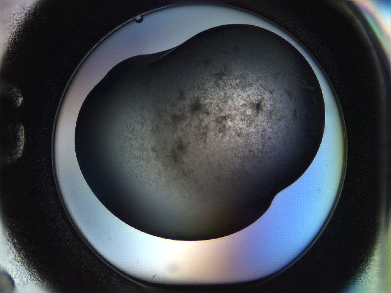054l_G2_ImagerDefaults_8.jpg
