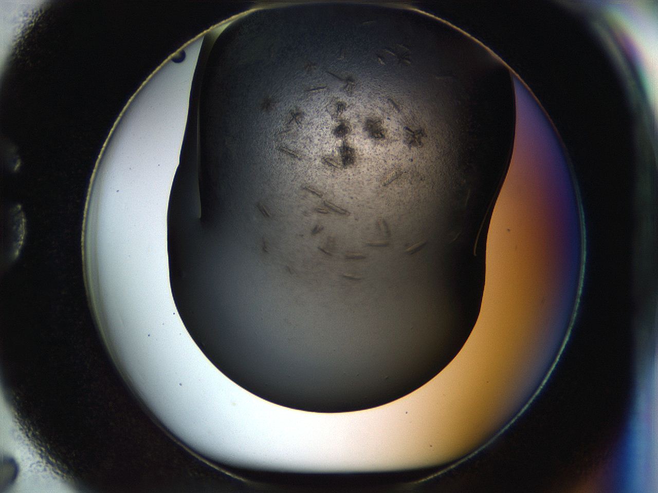 054l_G7_ImagerDefaults_8.jpg