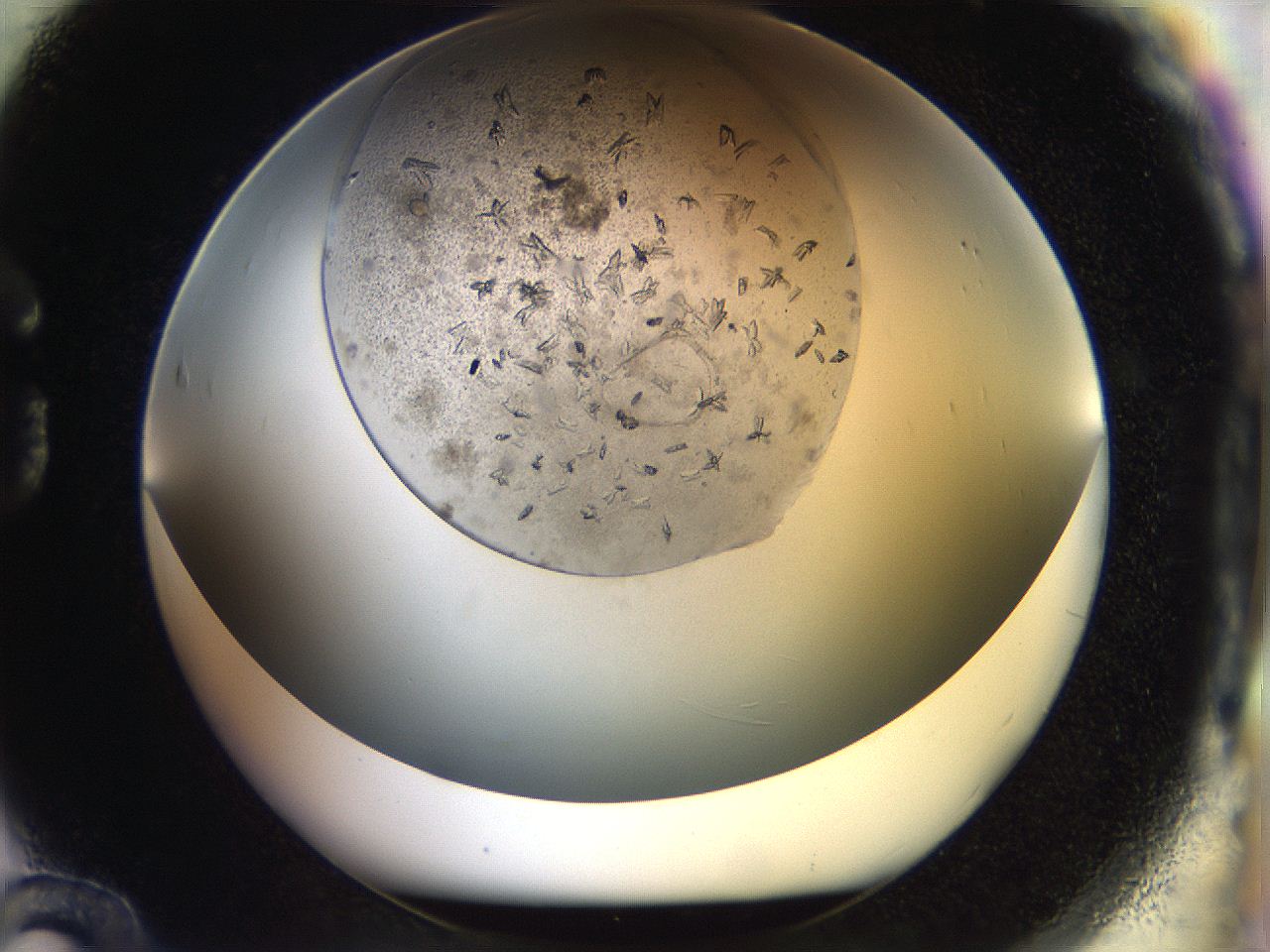 054l_G12_ImagerDefaults_7.jpg