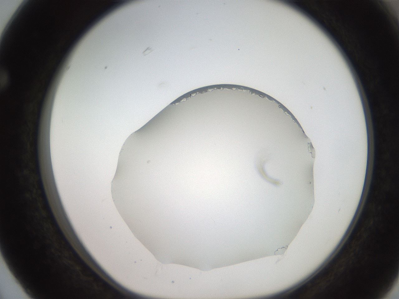 folderID206_plateID2206_batchID9775_wellNum63_profileID1_d1_r149875_ef.jpg