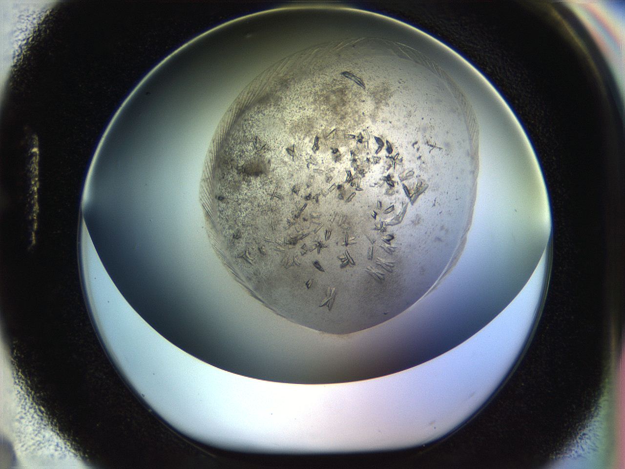 054l_H4_ImagerDefaults_7.jpg