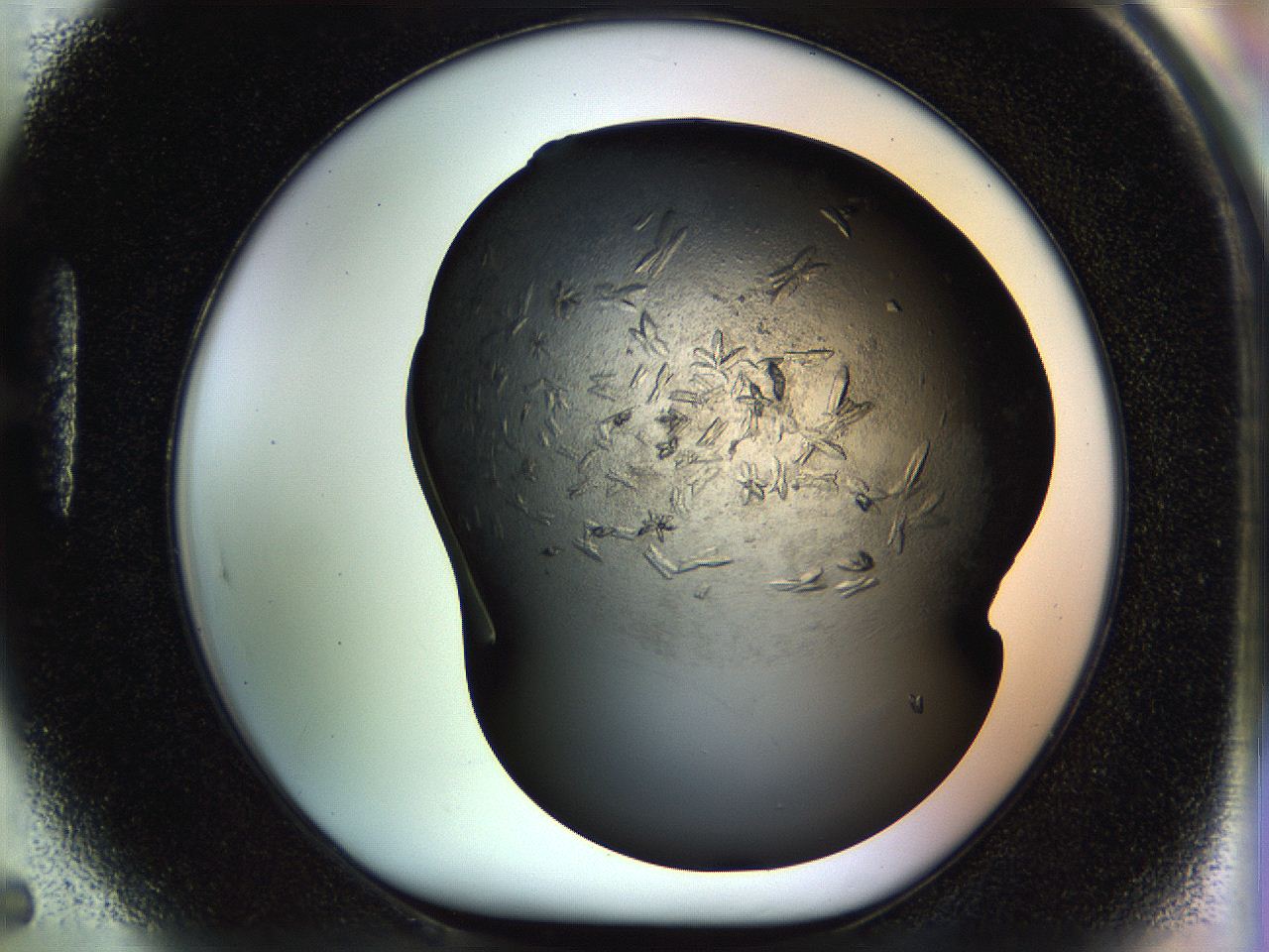 054l_H5_ImagerDefaults_7.jpg