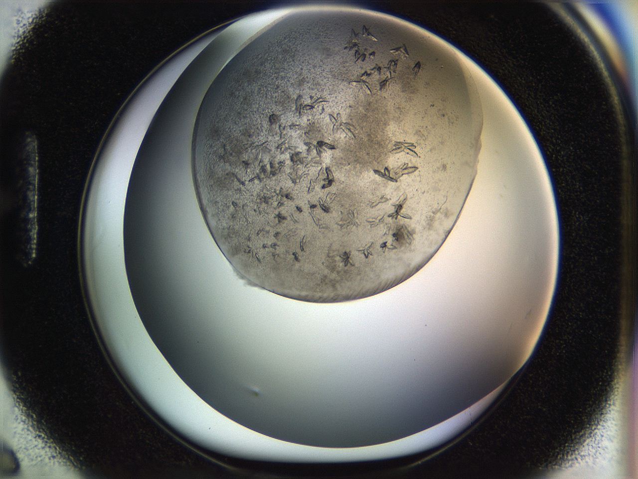 054l_H6_ImagerDefaults_6.jpg