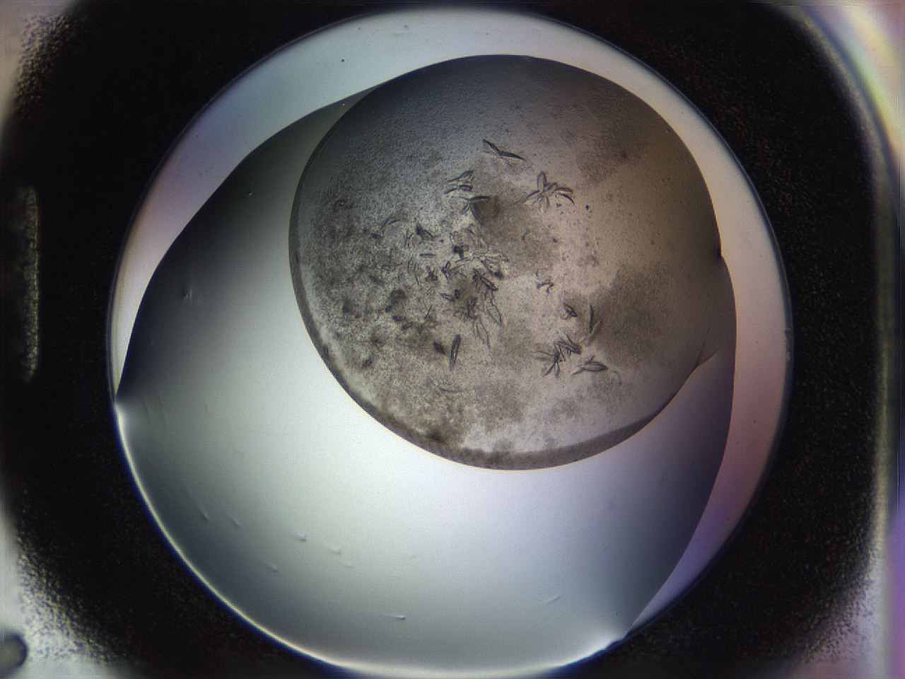 054l_H7_ImagerDefaults_6.jpg