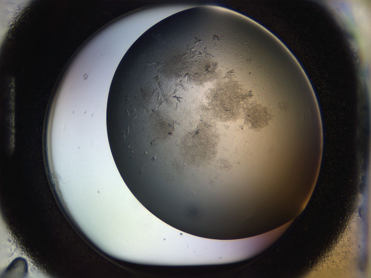 054l_H11_ImagerDefaults_6.jpg