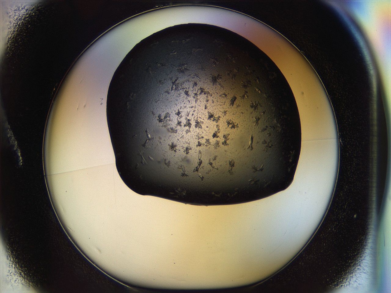 054m_A1_ImagerDefaults_6.jpg