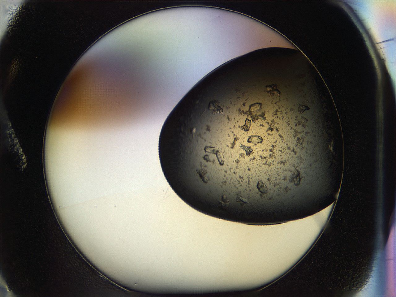 054m_A2_ImagerDefaults_7.jpg