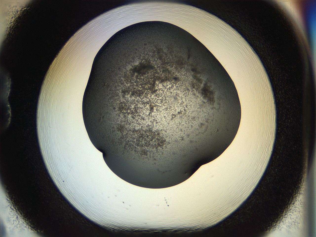054m_B8_ImagerDefaults_6.jpg