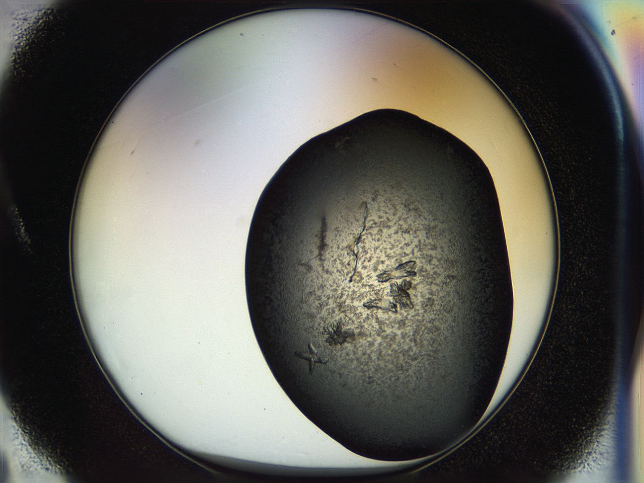 054m_A4_ImagerDefaults_6.jpg