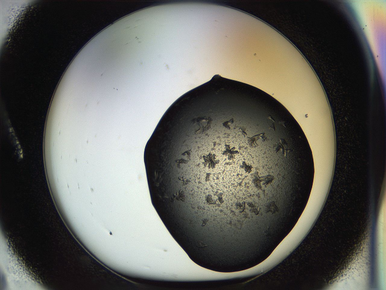 054m_A8_ImagerDefaults_6.jpg