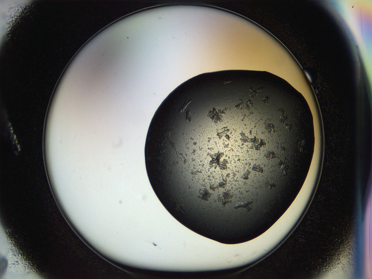 054m_A7_ImagerDefaults_6.jpg