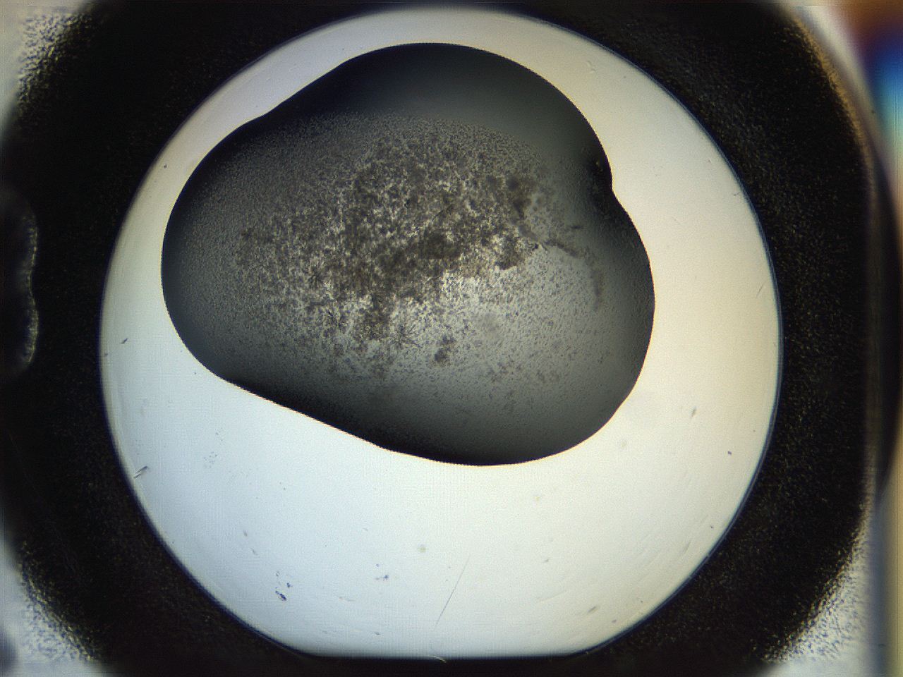 054m_B6_ImagerDefaults_6.jpg