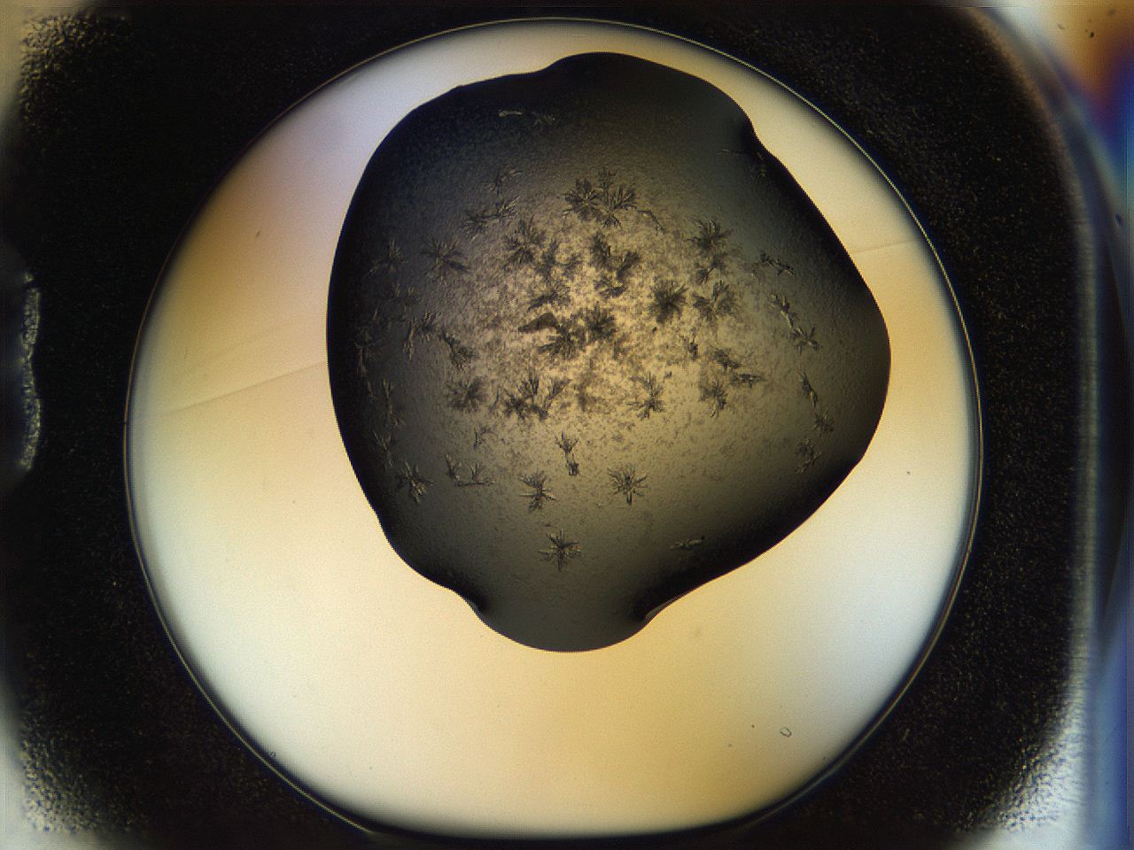 054m_B1_ImagerDefaults_6.jpg