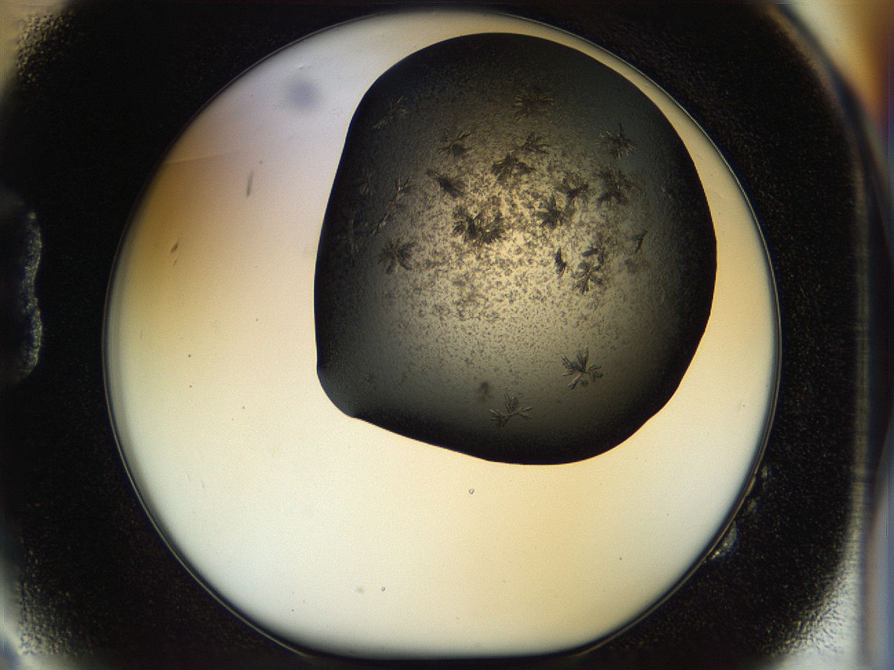 054m_B2_ImagerDefaults_6.jpg