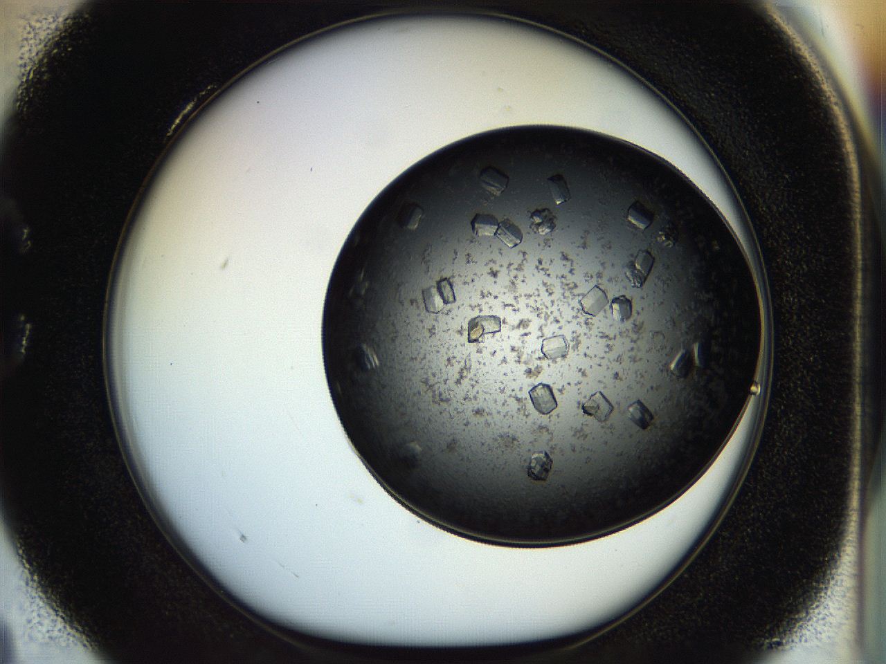 054m_C4_ImagerDefaults_9.jpg