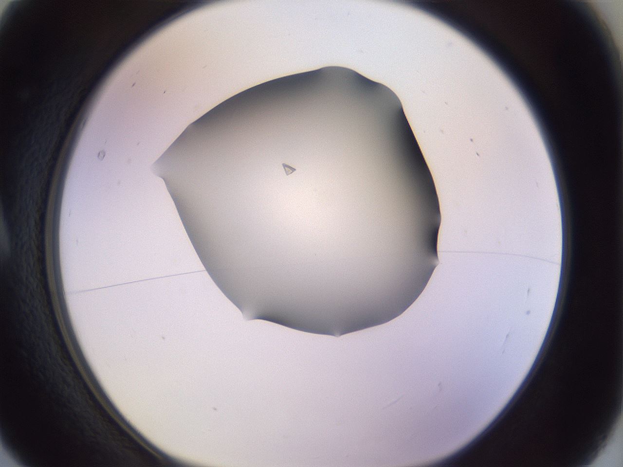 folderID264_plateID3264_batchID19290_wellNum5_profileID1_d1_r287228_ef.jpg