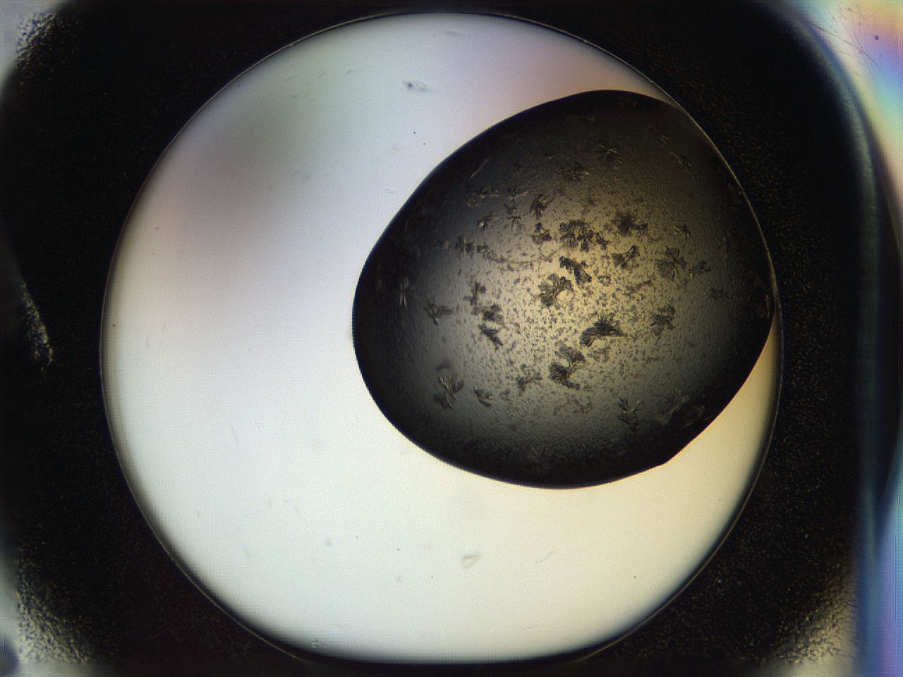 054m_A6_ImagerDefaults_6.jpg