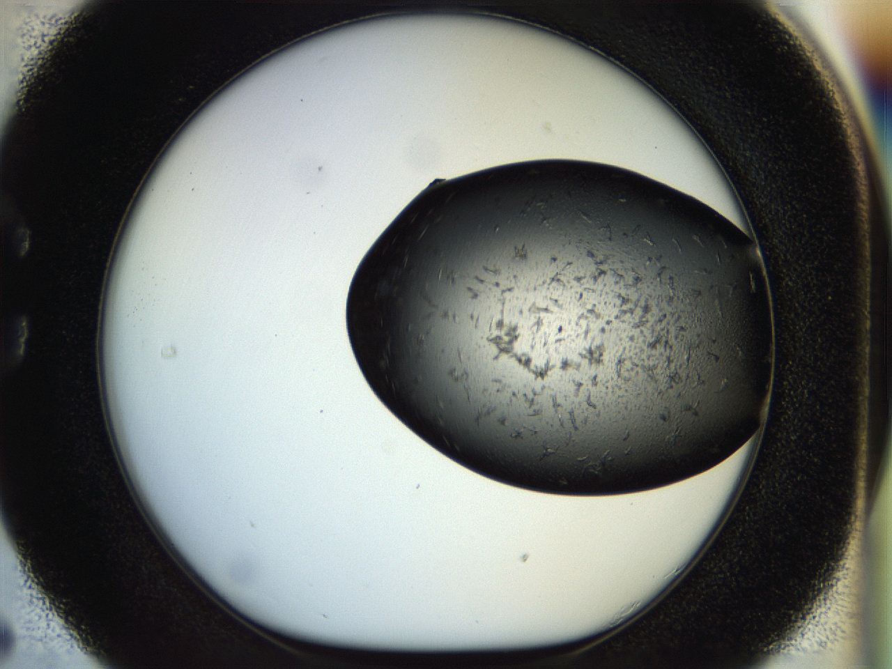 054m_C5_ImagerDefaults_6.jpg