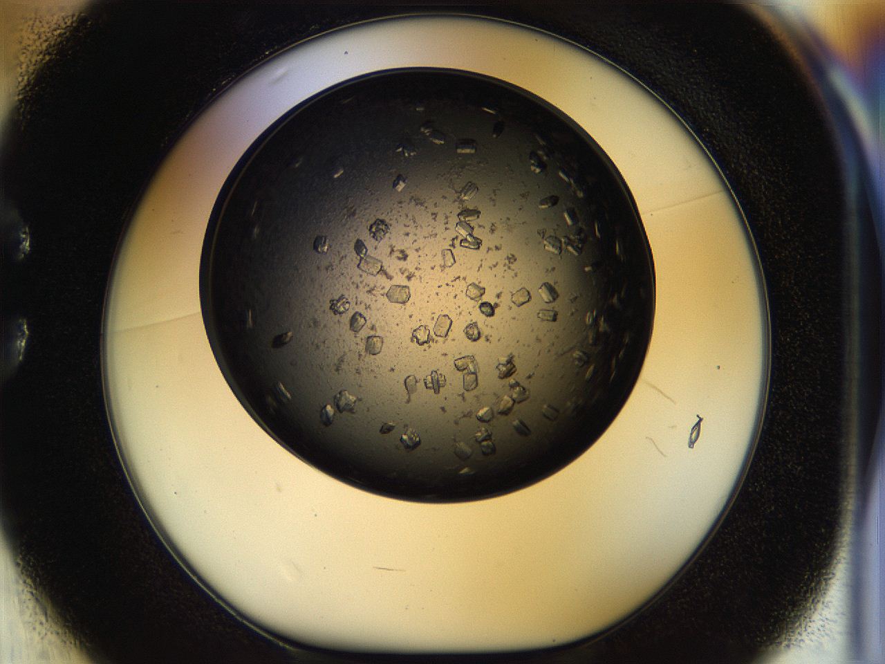 054m_C1_ImagerDefaults_8.jpg
