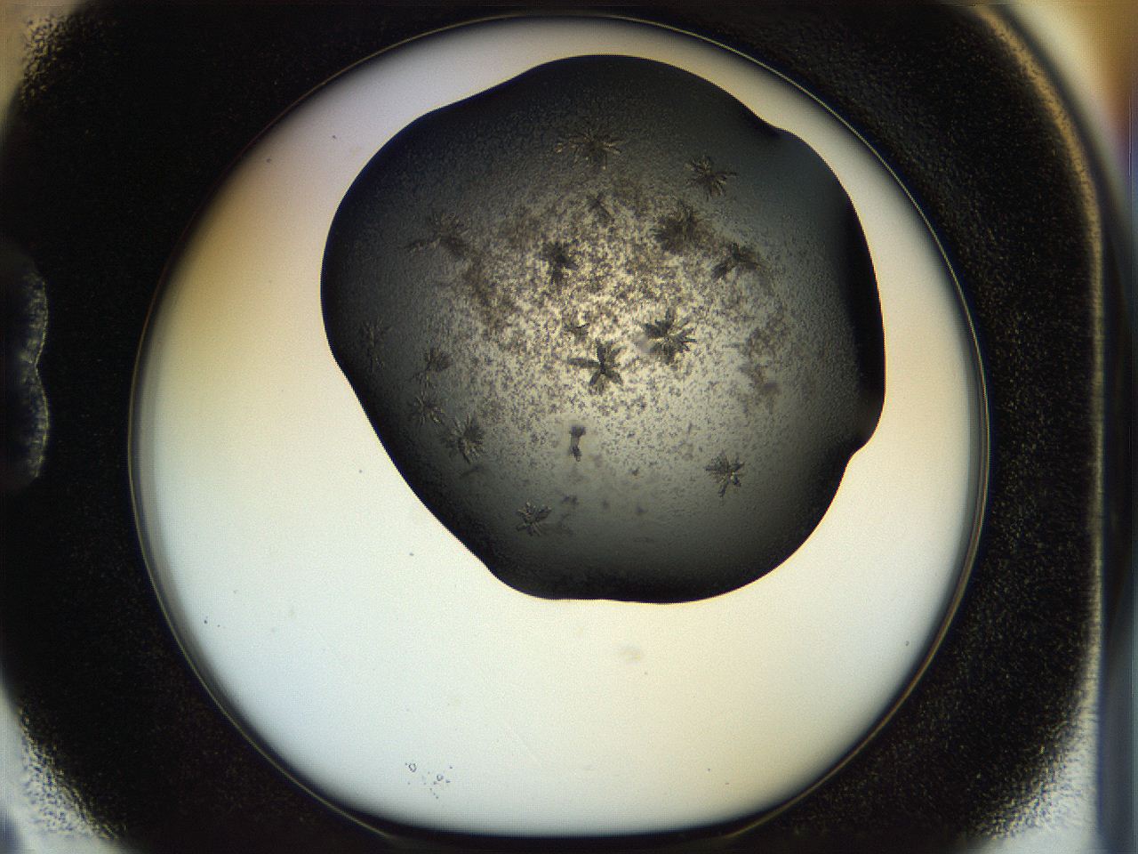 054m_B3_ImagerDefaults_6.jpg