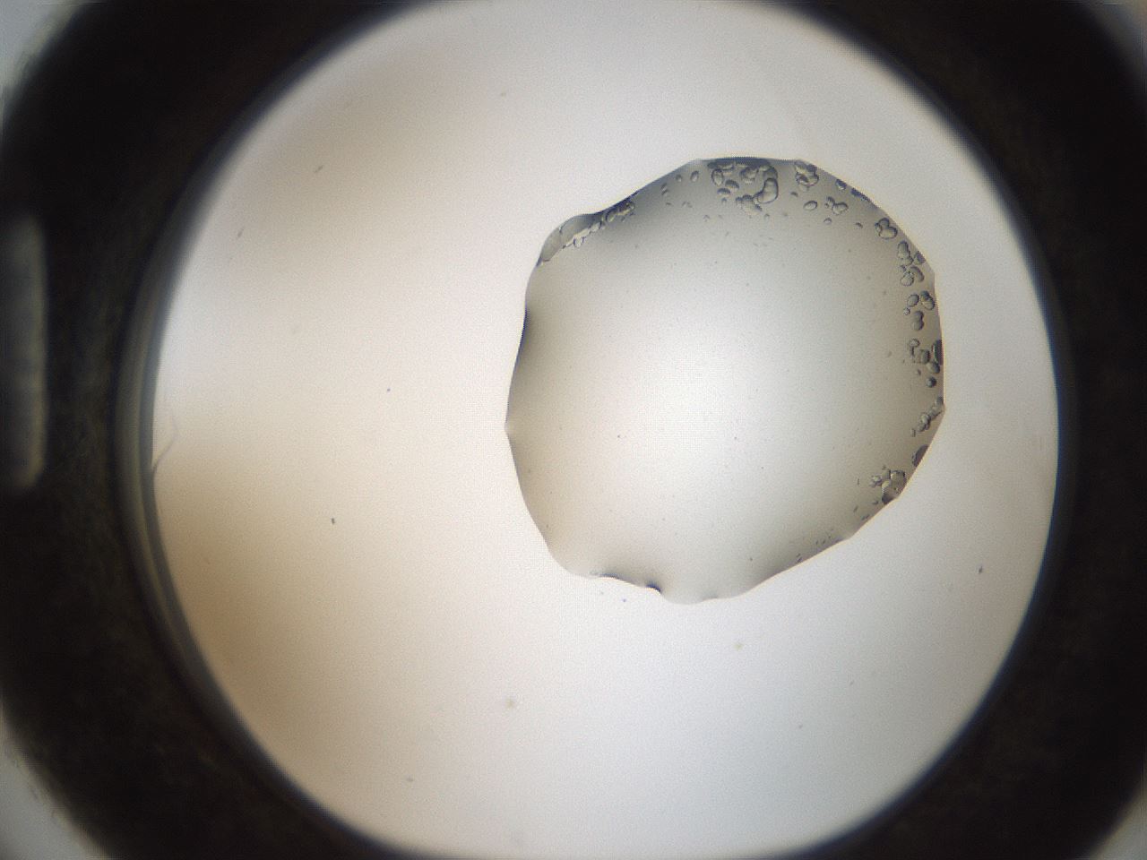 folderID269_plateID2269_batchID10929_wellNum90_profileID1_d1_r158433_ef.jpg